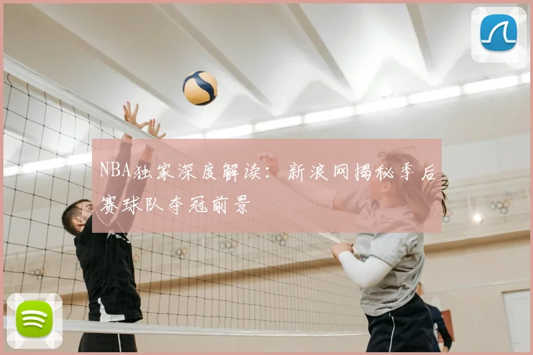 NBA独家深度解读:新浪网揭秘季后赛球队夺冠前景