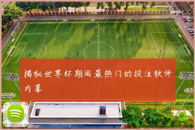 揭秘世界杯期间最热门的投注软件内幕