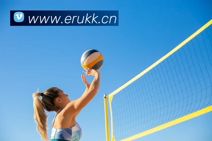 新云顶官方网站平台生态图