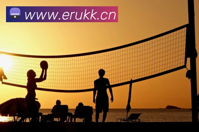 新云顶官方网站APP 封面图